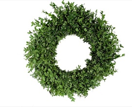 Wreath Oregonia