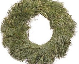 Wreath Pine